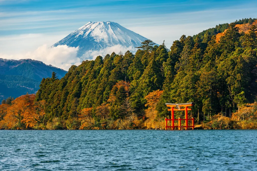 shutterstock_1303030627-scaled